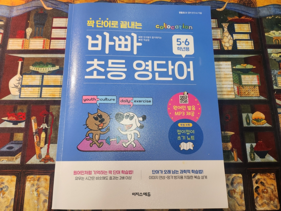 에듀매핑 이미지