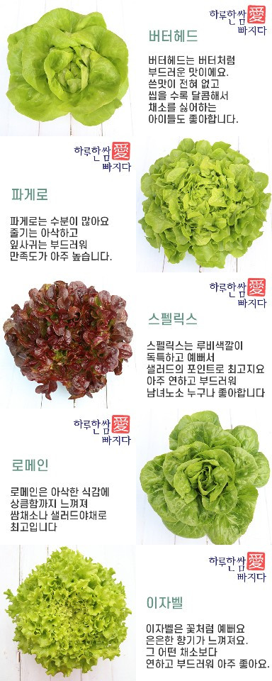 한쌈 이미지