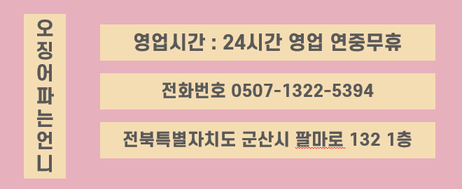 오징어파는언니 이미지