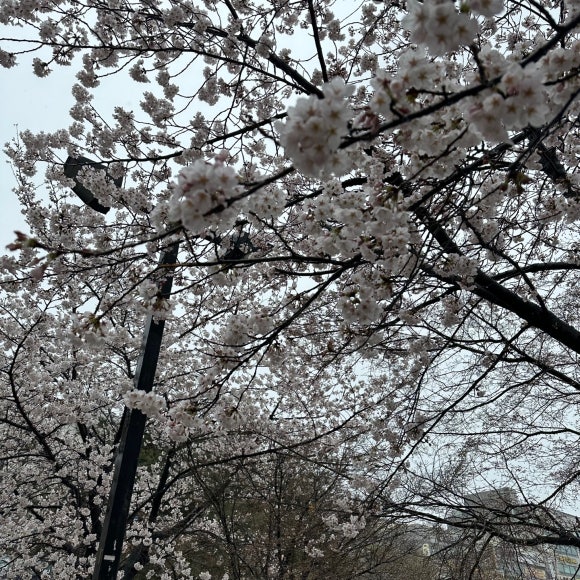 나빛스터디카페 이미지