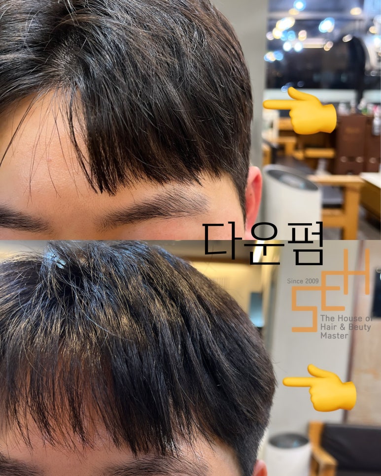 팔마미용실 이미지