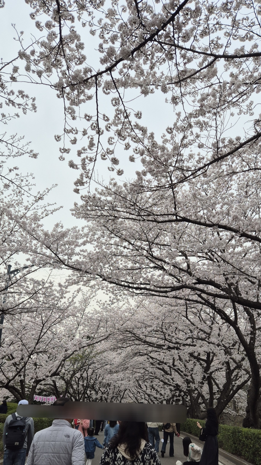 이파리광양 이미지
