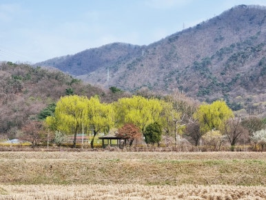 고려대학교 덕소농장 이미지