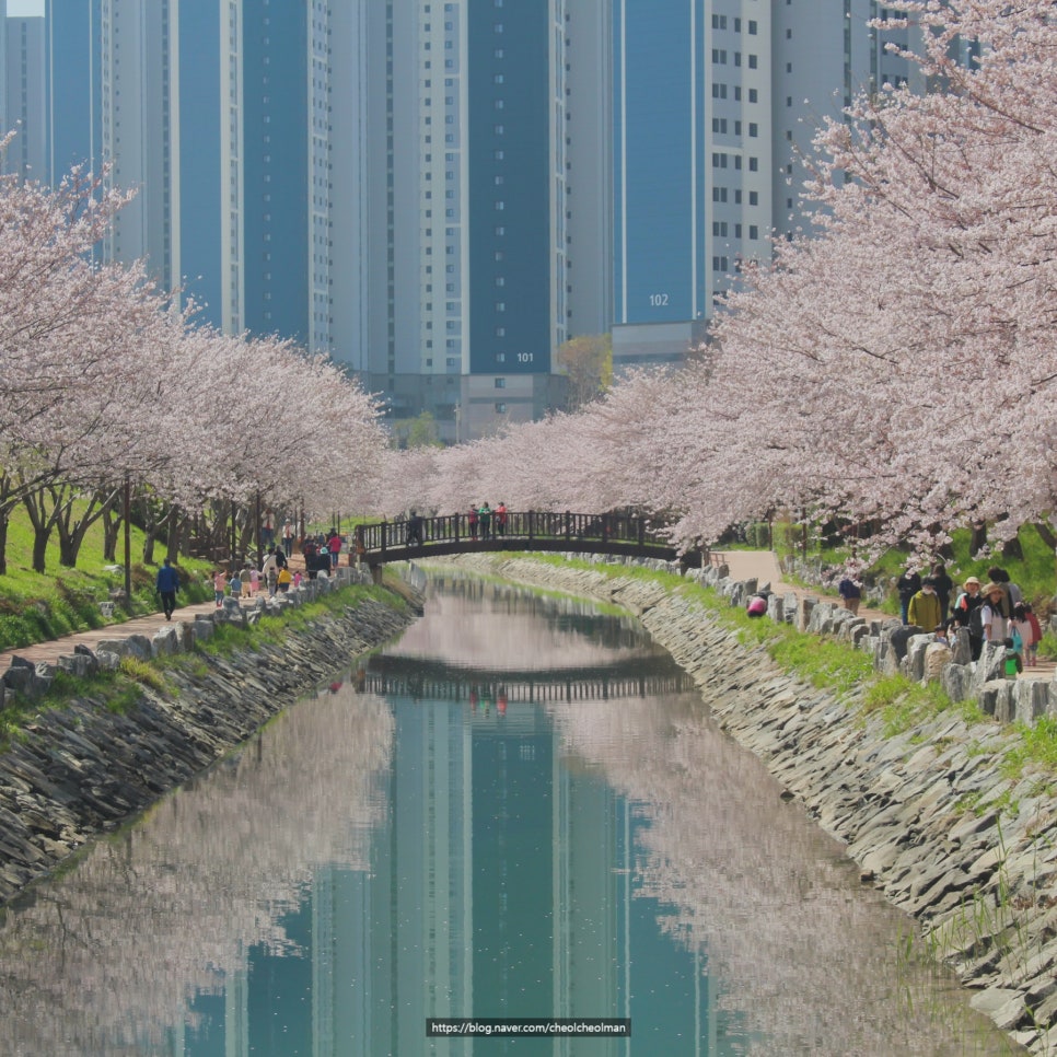 육일분식 이미지