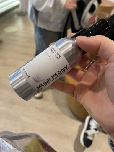 뿌리의상실 이미지