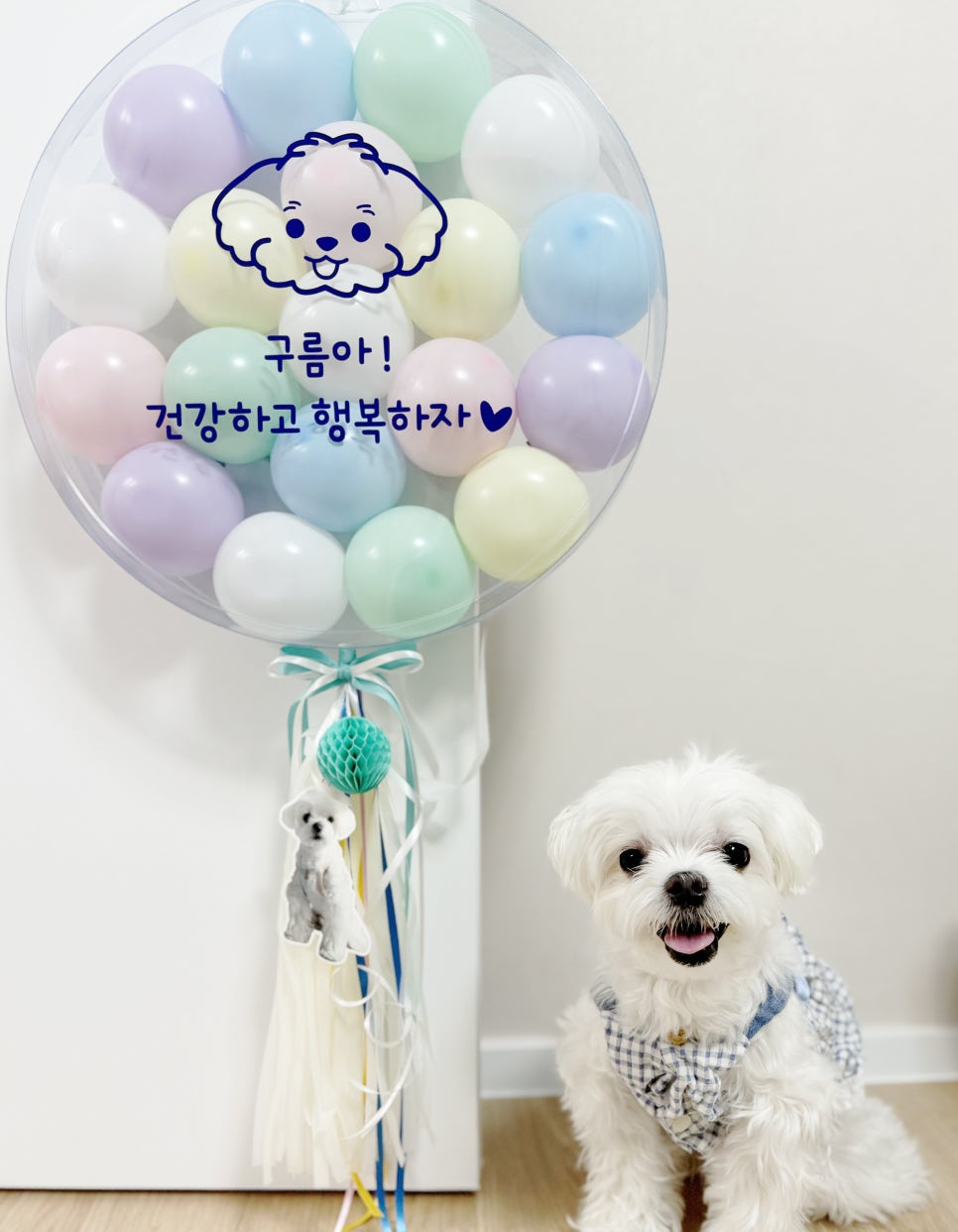 헬로폼폼 이미지