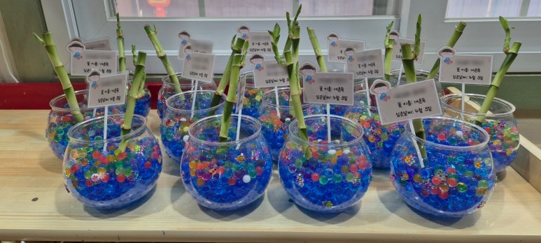 바다의 별 어린이집 이미지