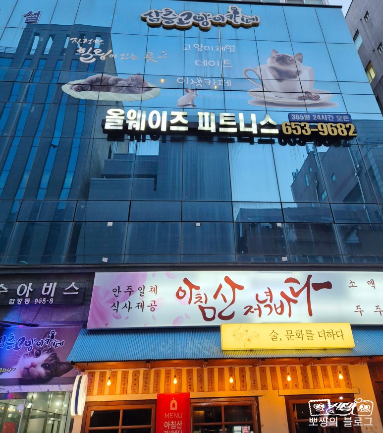 삼층고양이 이미지