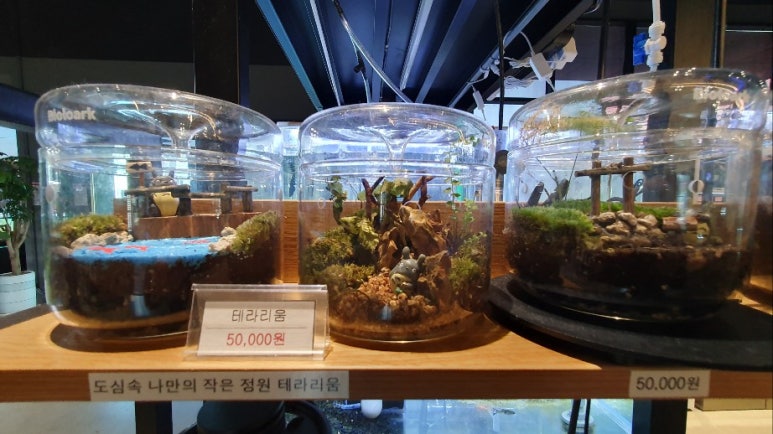 한을카페 이미지
