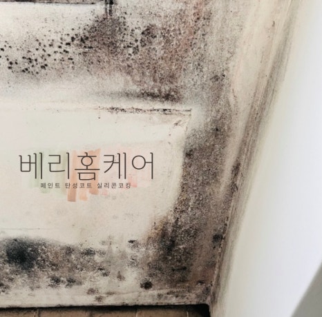 계룡환경(주) 이미지