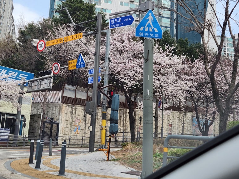 월드출장세차 이미지