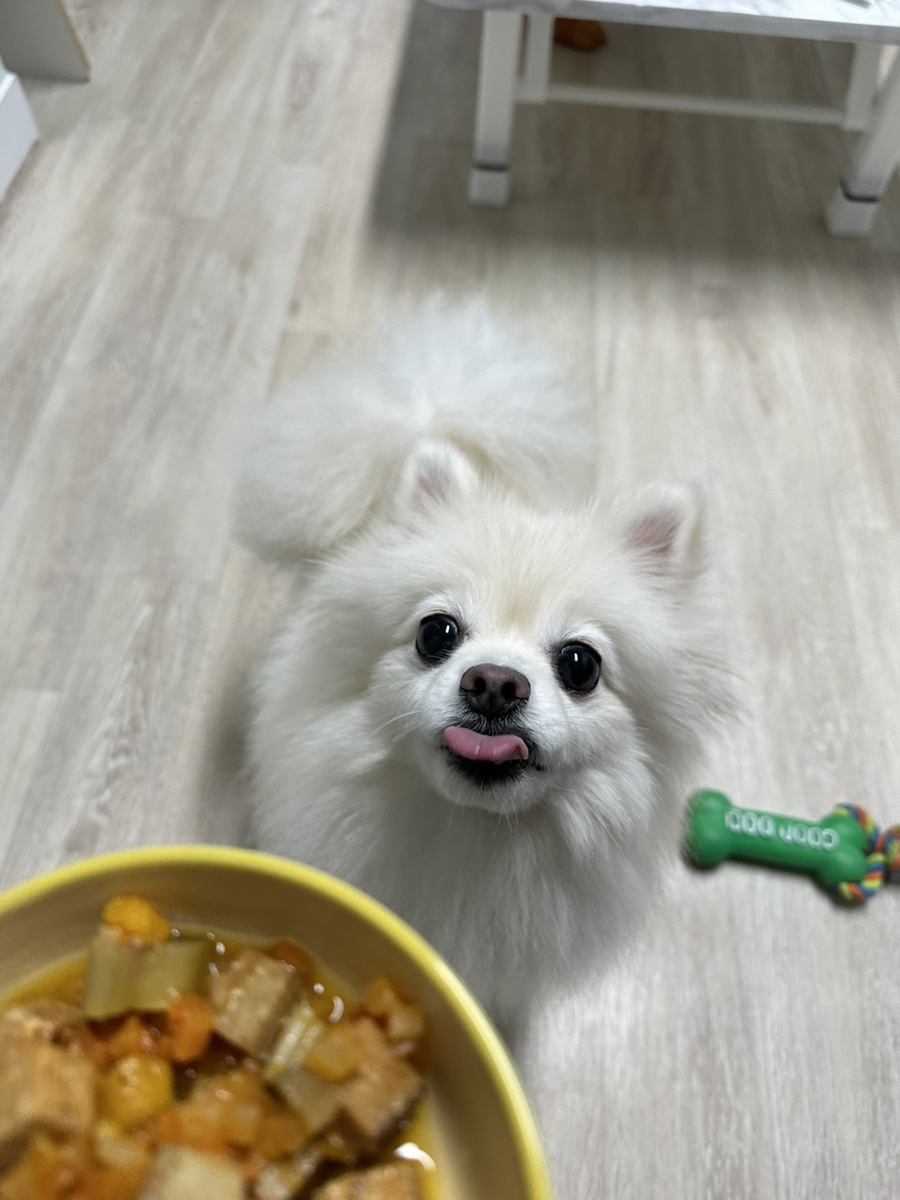 오아오멍 이미지