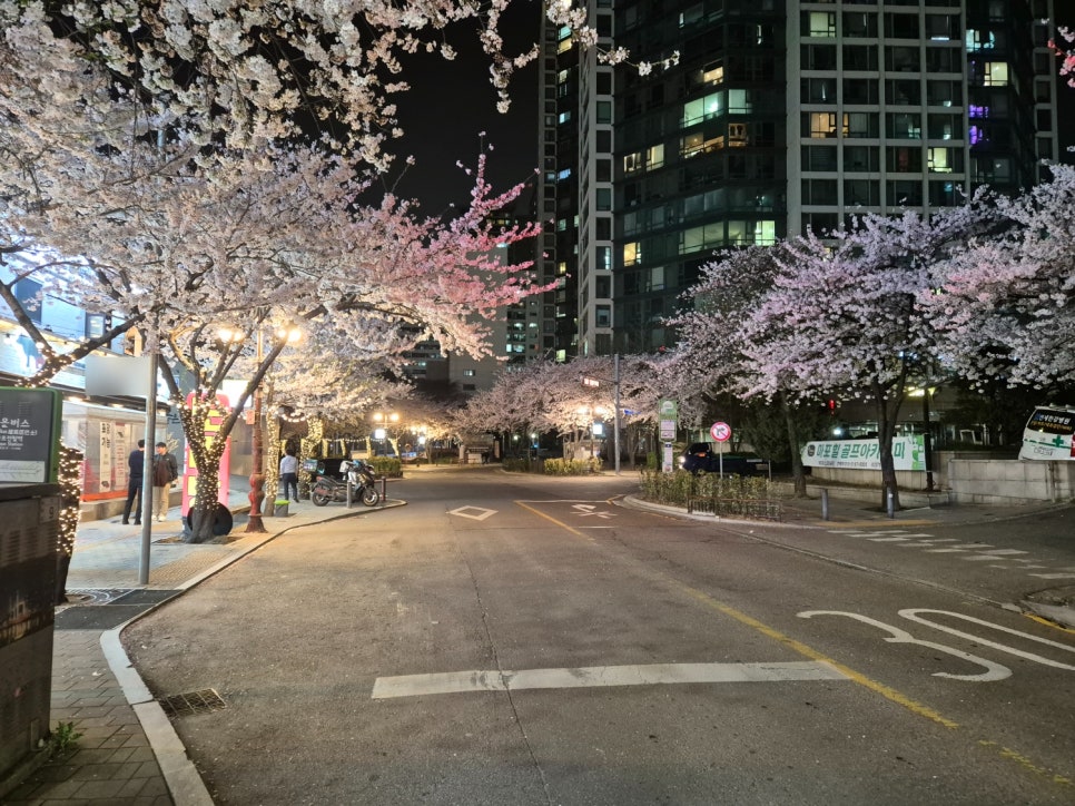 석양집 이미지