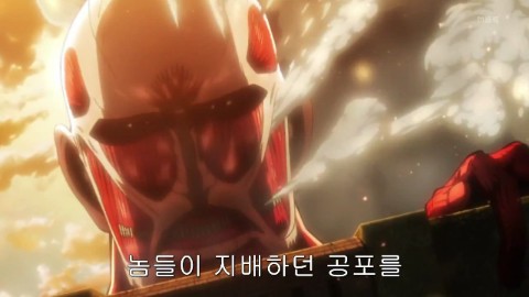 대명야채 이미지