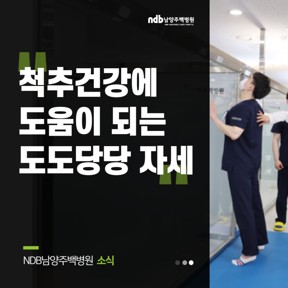 도도당 이미지