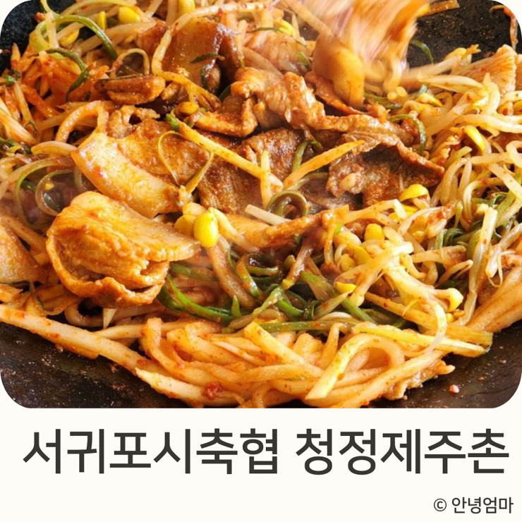 서귀포시축협청정제주촌 이미지