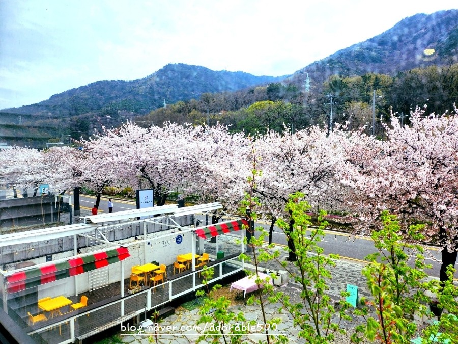 앞산387 이미지