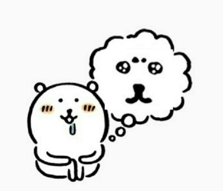 빙고앤샐러드 이미지