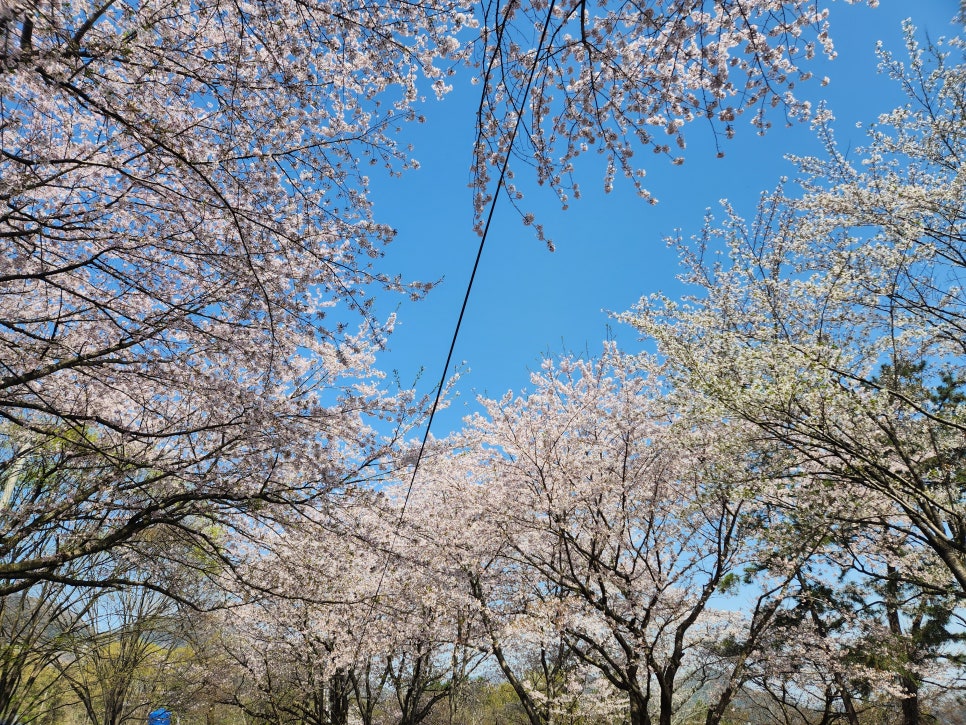 바른손키즈 이미지