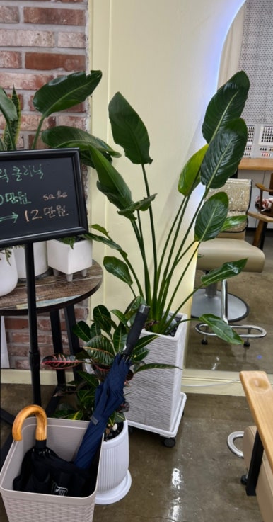 라온샵 이미지