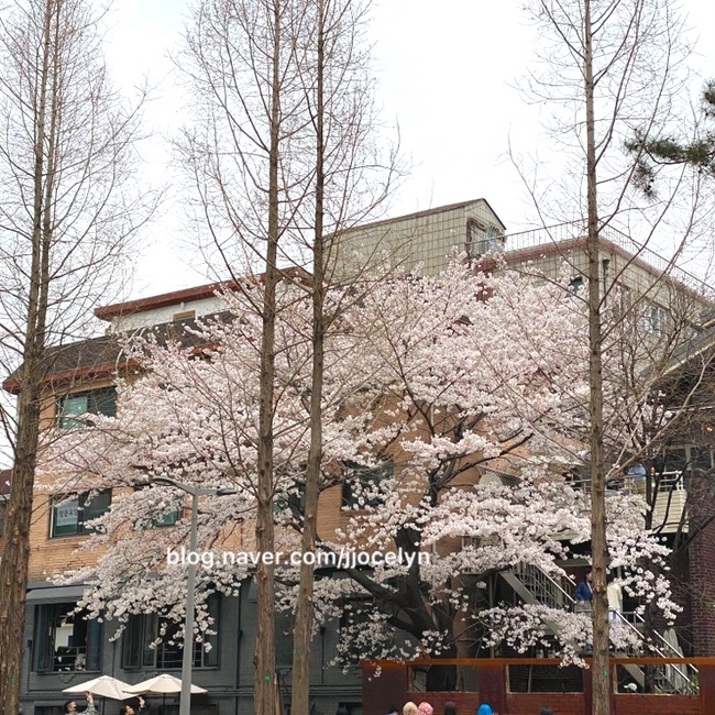 지에스25 연남공원점 이미지