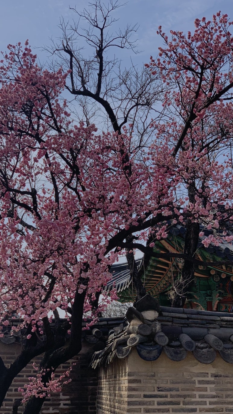 신원특수 이미지
