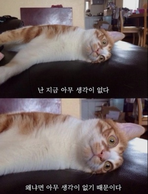 민솔루션 이미지