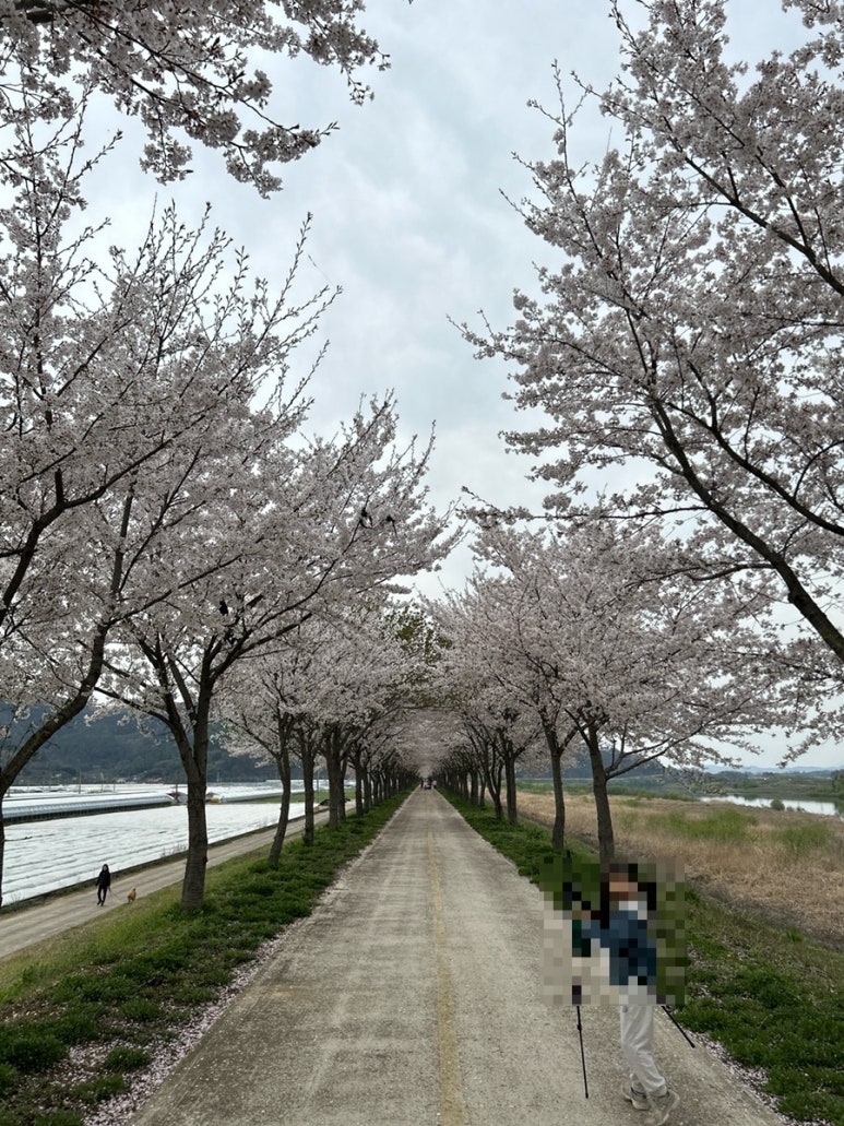 의령나루캠프 이미지
