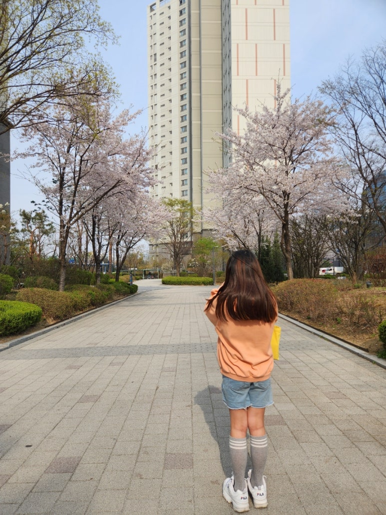 돗자리상회 이미지