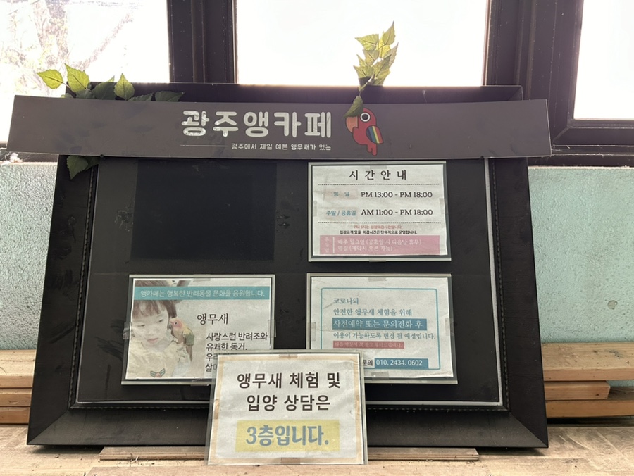 광주앵카페 이미지