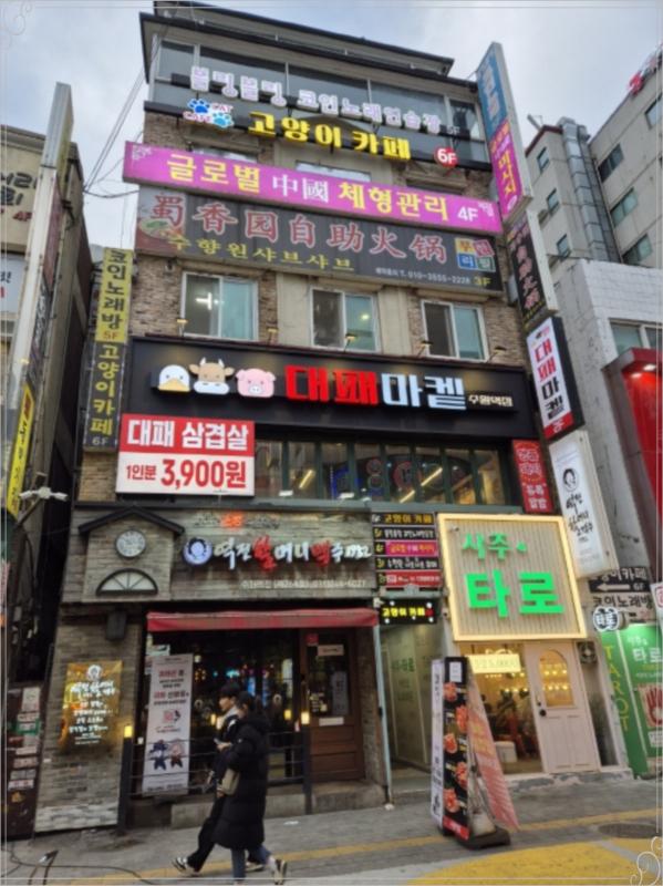 대패매니아 이미지
