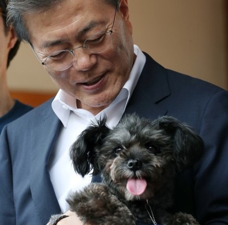 문토리 이미지