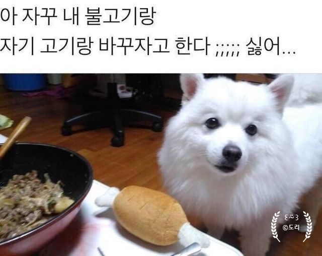 숙이네밥상 이미지