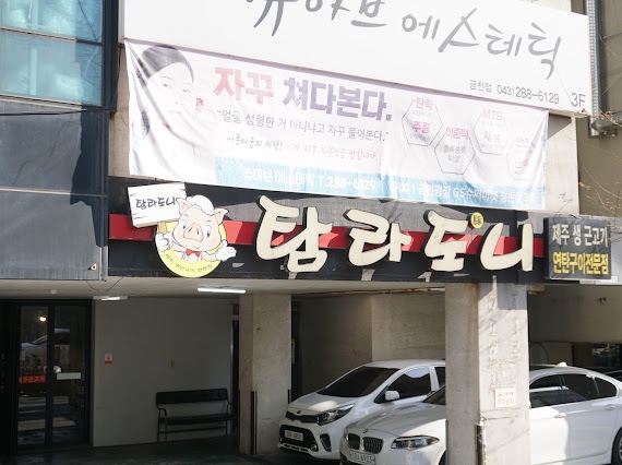 탐라도니 이미지