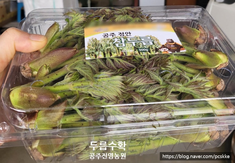진영농원 이미지