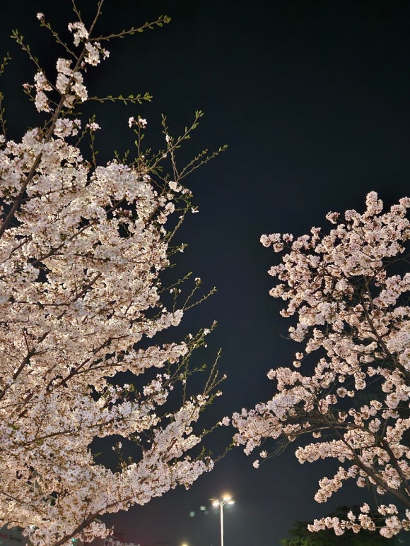 오M컨설팅 이미지