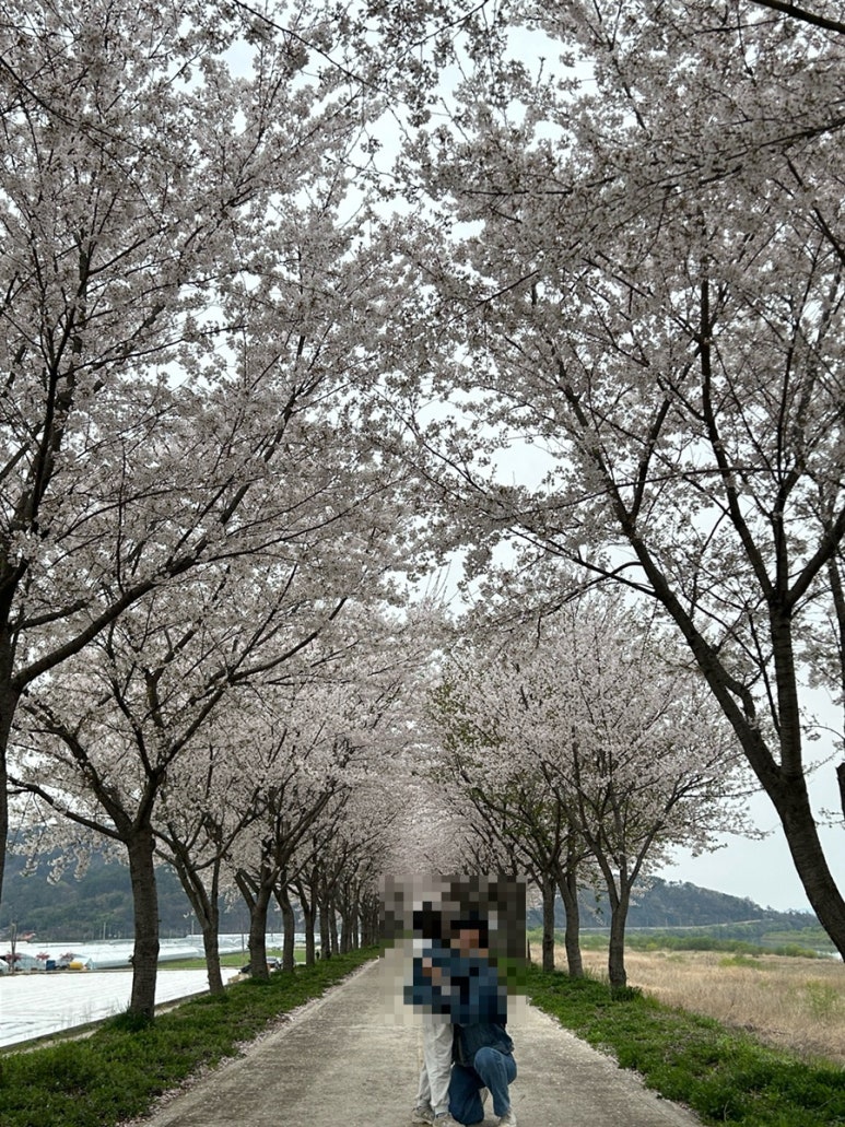 의령나루캠프 이미지