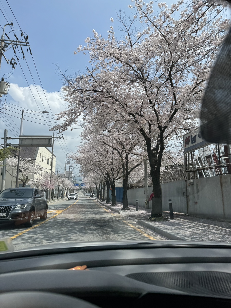 김효정미용실 이미지