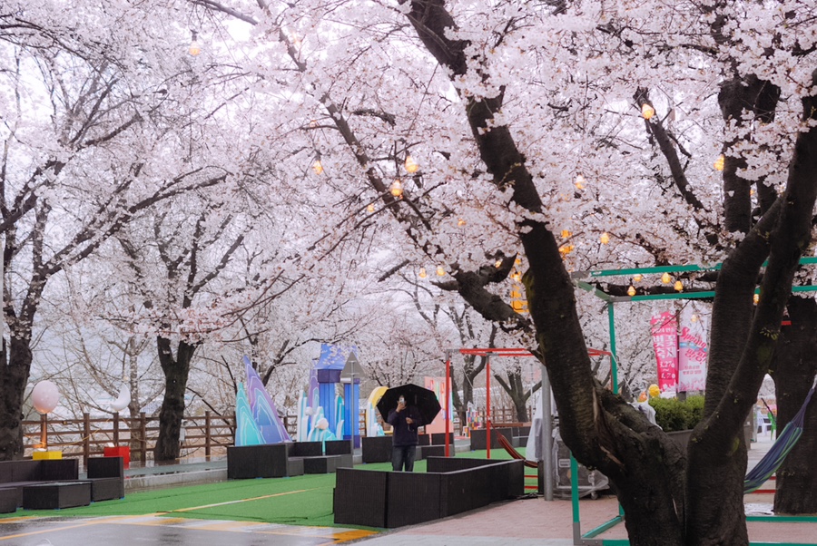 동산푸드 주식회사 이미지
