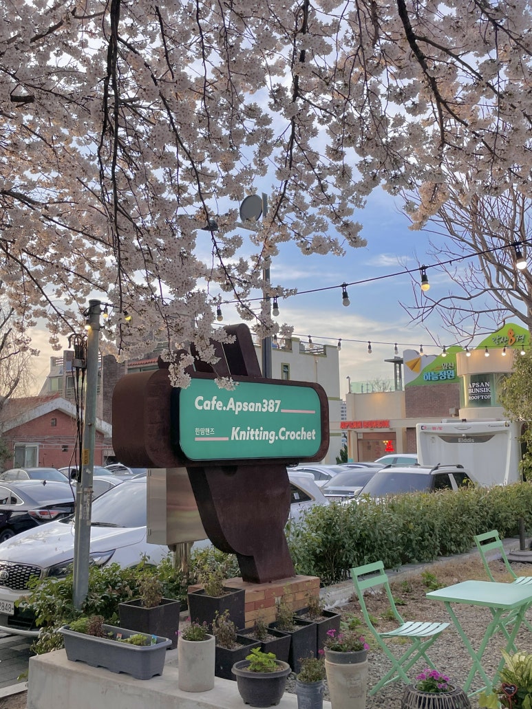 앞산387 이미지