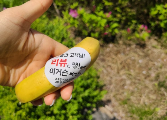 과일땡기는날 양산점 이미지