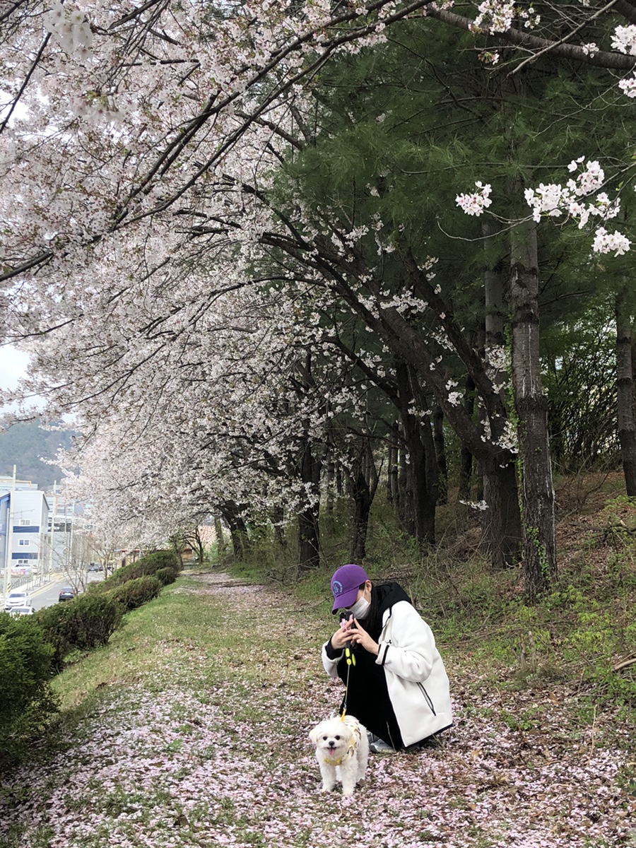 체육문화원 이미지