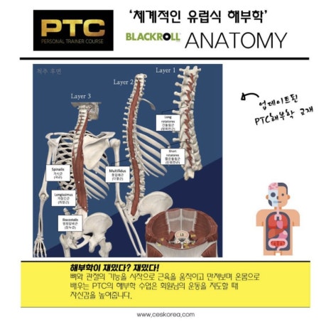 대한트레이너교육협회 이미지