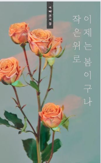 모모미 이미지