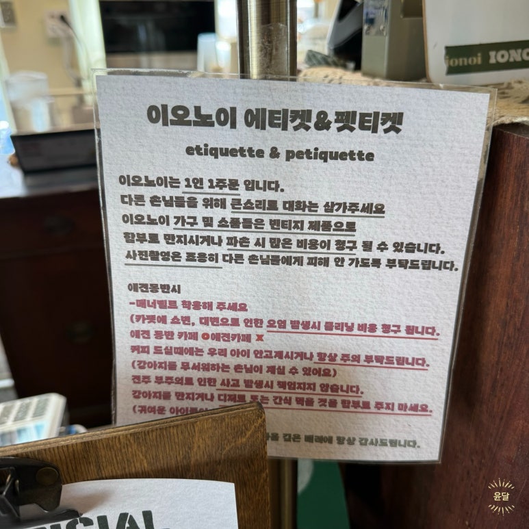 이오노이(ionoi) 이미지