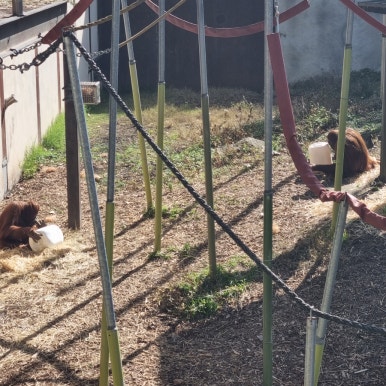 코끼리를키우는사람들주 이미지