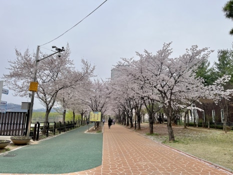 청주서부소방서(오송119안전센터) 이미지