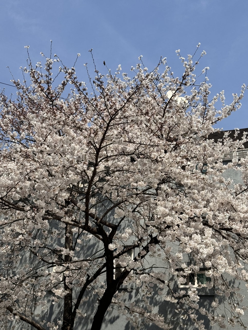 (주)합정마트 이미지