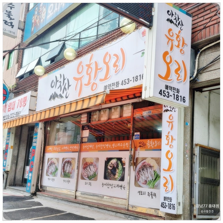 진진오리 이미지