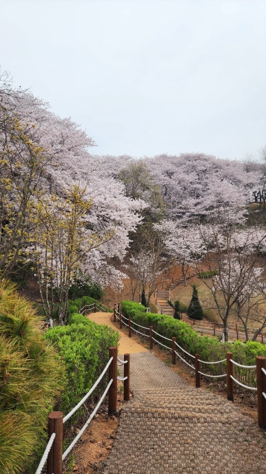 SK석유 이미지